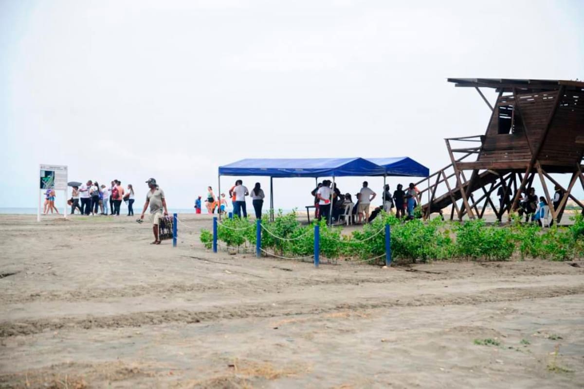 Cuenta regresiva para la apertura de nueva playa en Bocagrande