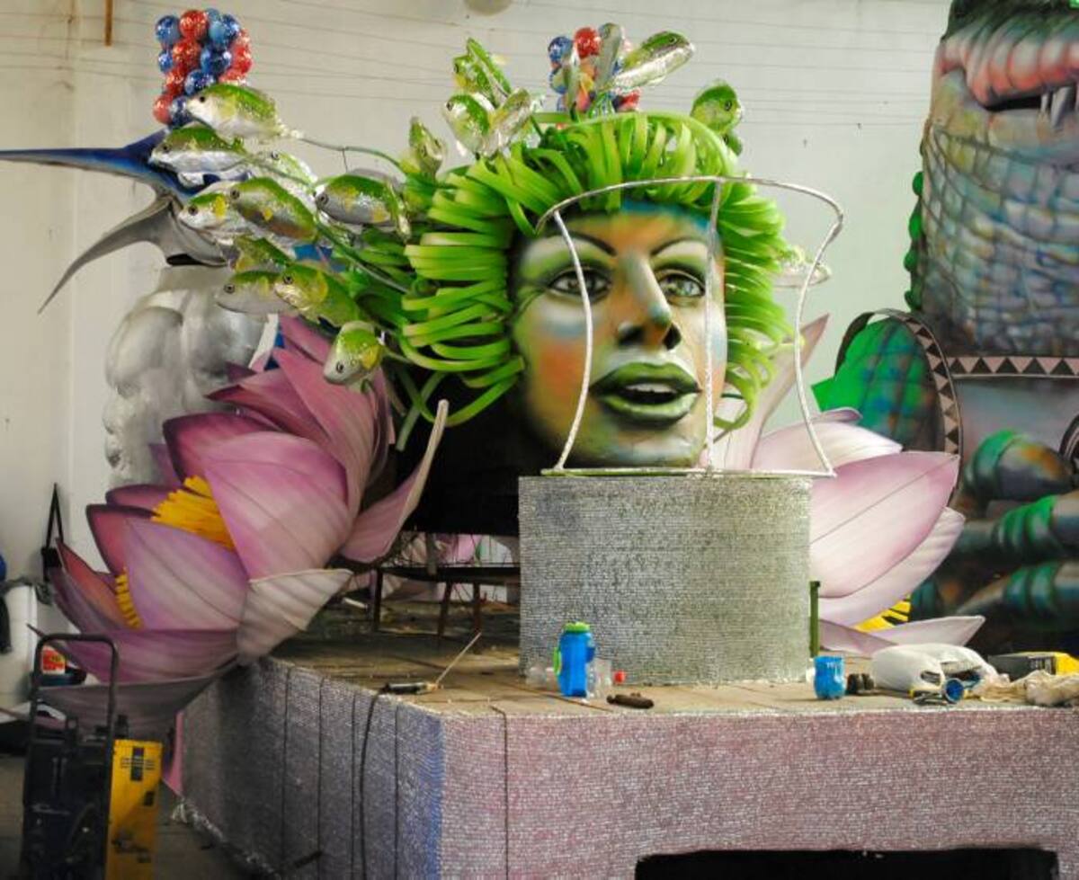 Carroiza noctuna. Cortesía QHubo Barranquilla