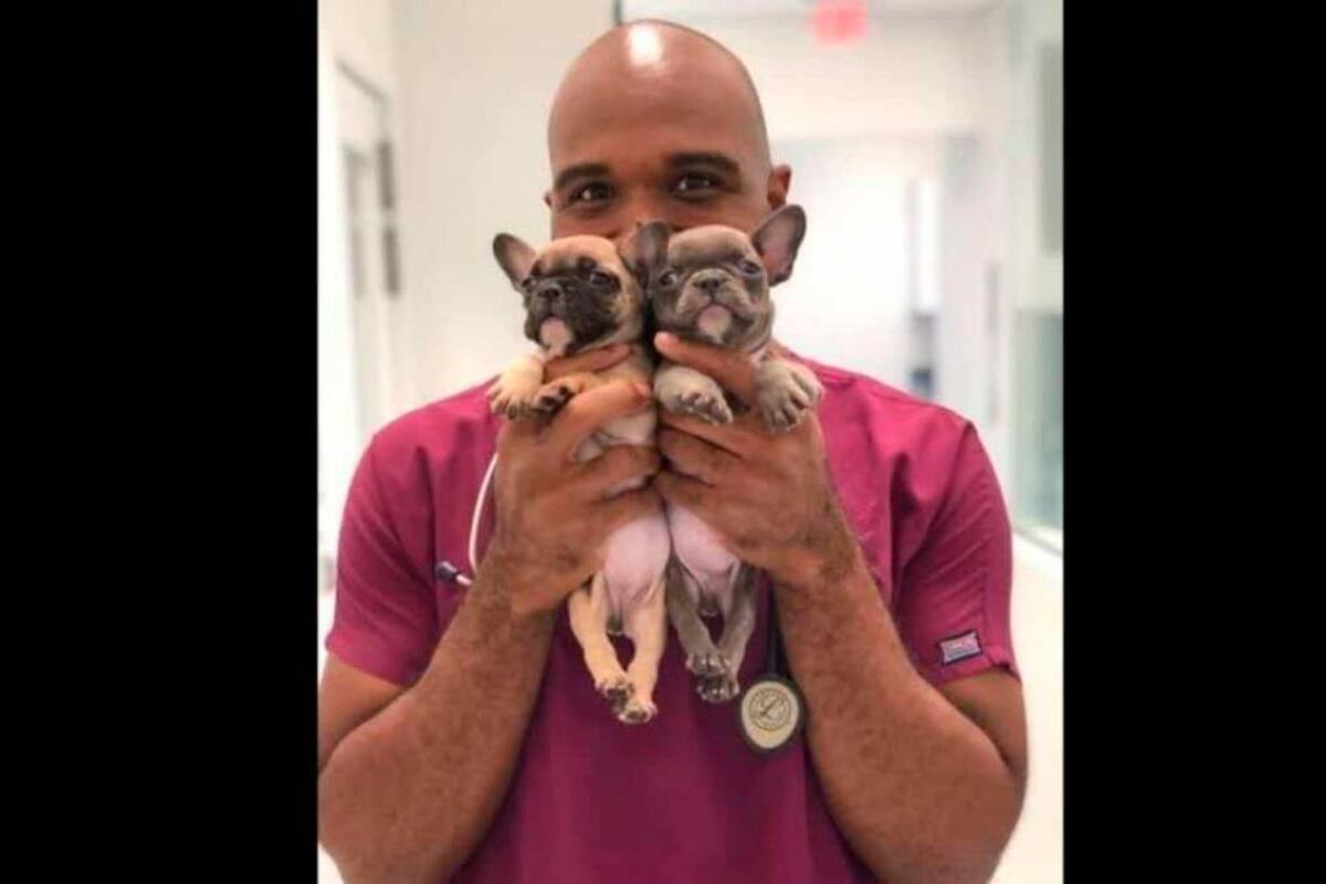 Veterinario que tenía sexo con perros y se grababa recibe condena ejemplar