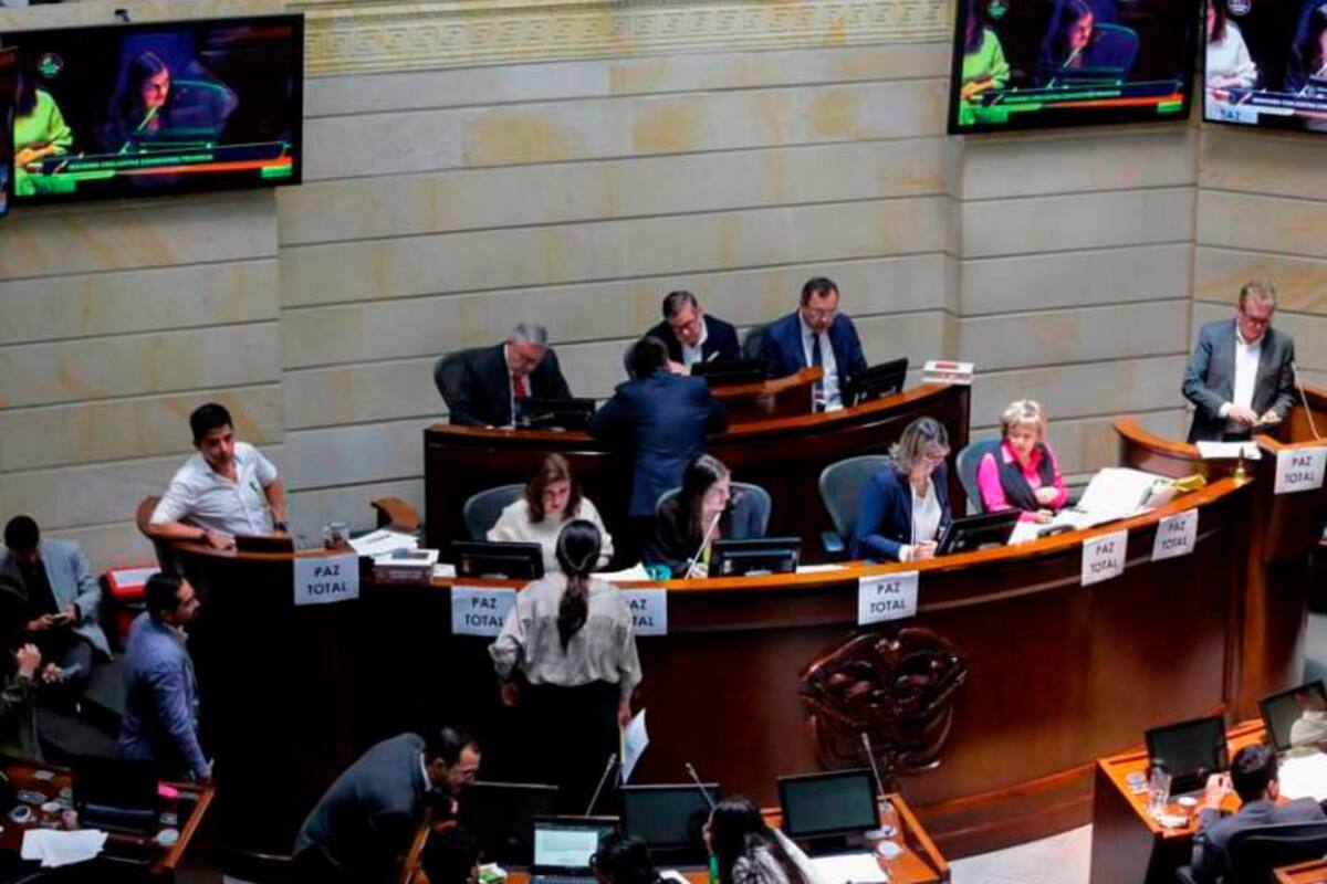Reforma política: con listas cerradas, paridad de género y sin voto obligatorio