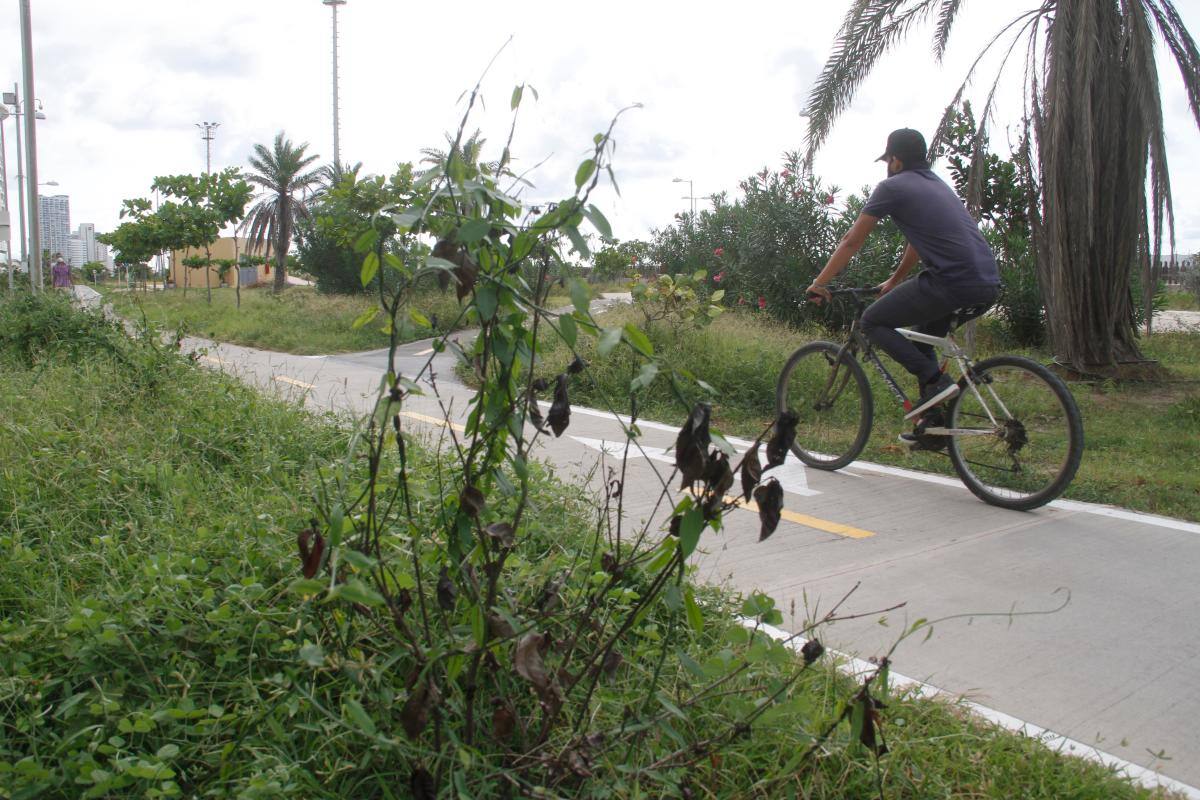Luz verde para trabajos de mejora en el Parque Lineal de Crespo