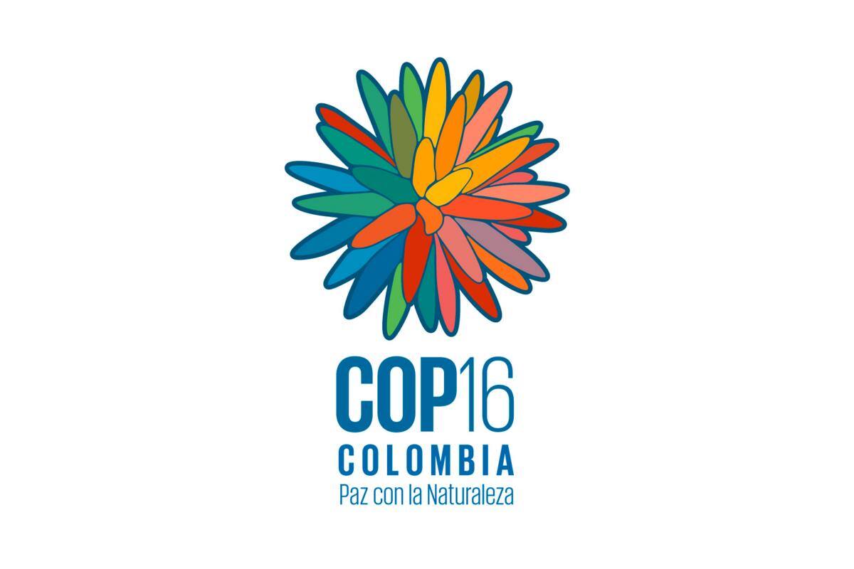 La flor de Inírida, imagen oficial de la COP16 que se realizará en Cali