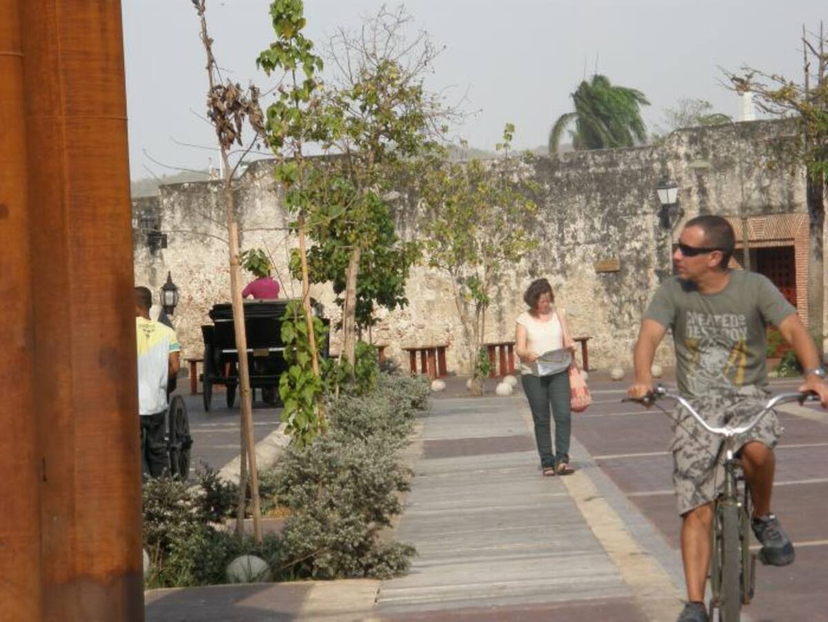 No más árboles muertos en la Plaza de la Aduana. Cartagena se merece una plaza mejor cuidada.. LEDIS CARO D. - EL UNIVERSAL -