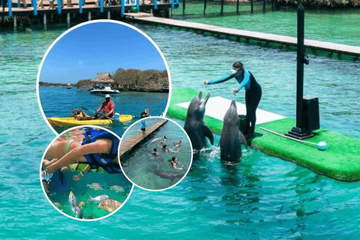 Guía para ir a las Islas del Rosario: desde almorzar hasta nadar con delfines