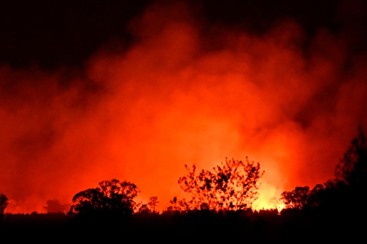 Decenas de incendios forestales arden sin control en Australia