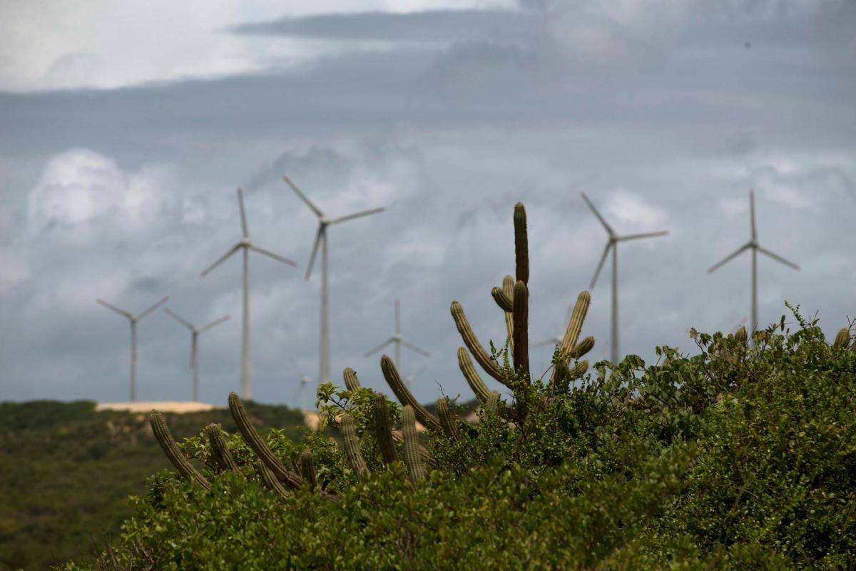 Latinoamérica tiene potencial para una transición verde