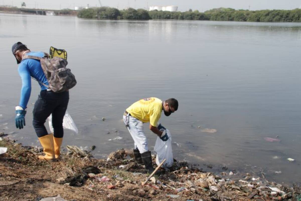 //Luis Eduardo Aparicio.