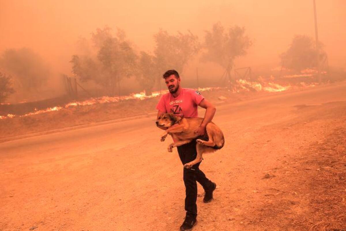 Las personas tratan de salvar a sus animales del fuego. // EFE