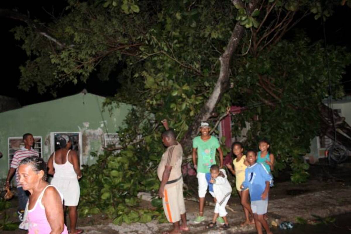En la calle Santa María del barrio Daniel Lemaitre, un árbol se cayó en la entrada de una vivienda impidiendo el acceso a la misma. ANTONIO CANCHILA GARCÍA