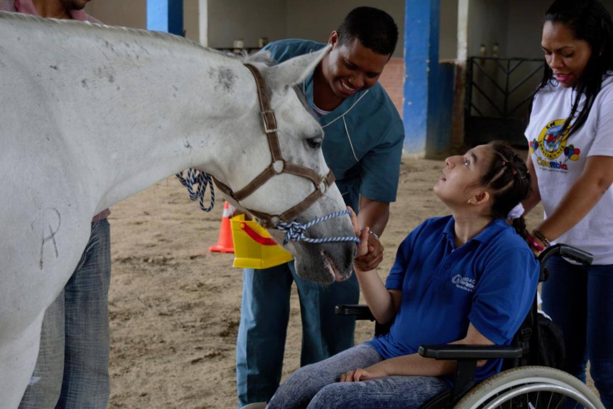 Terapias con animales, ¿para qué sirven?