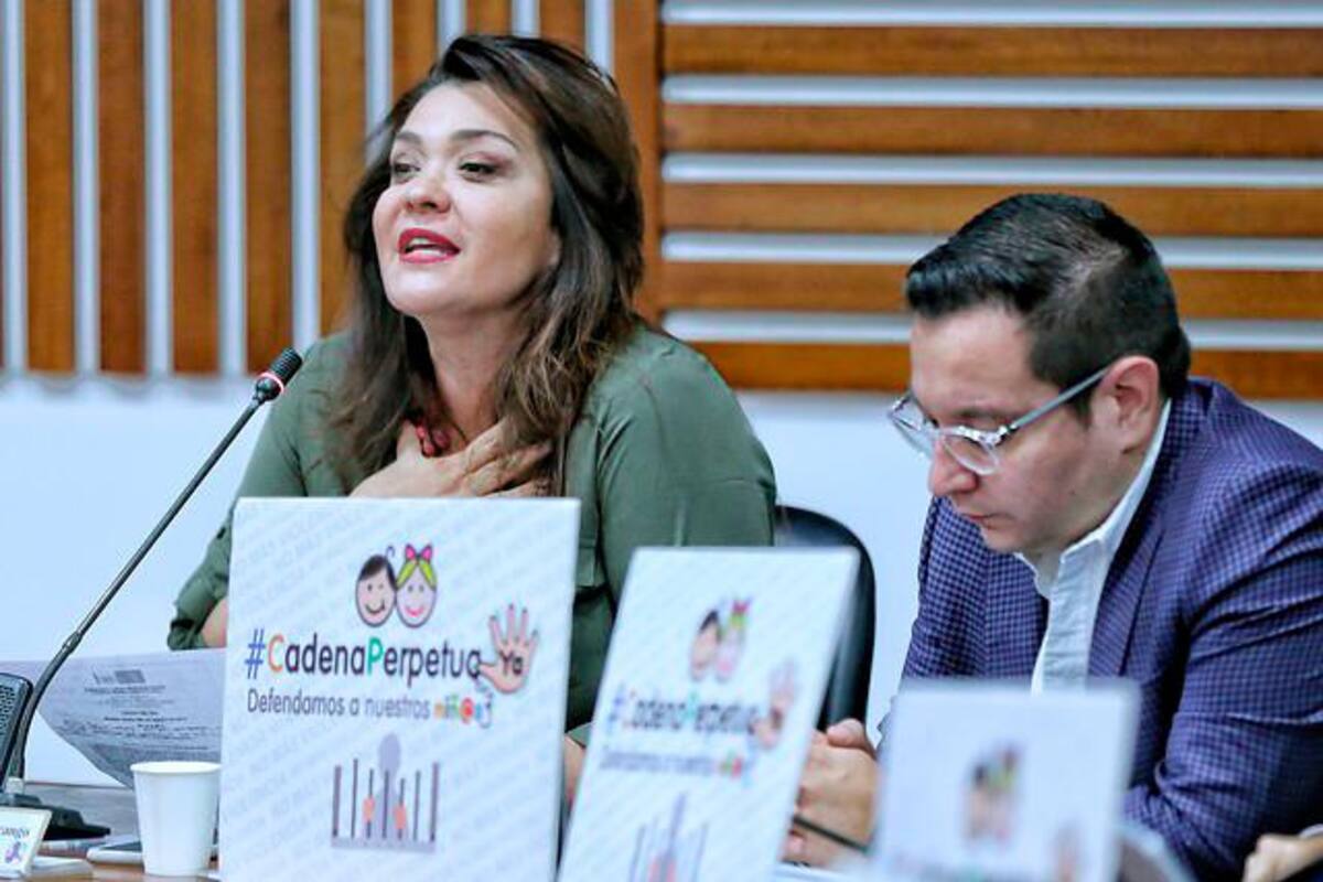Senado debate proyecto de ley sobre cadena perpetua