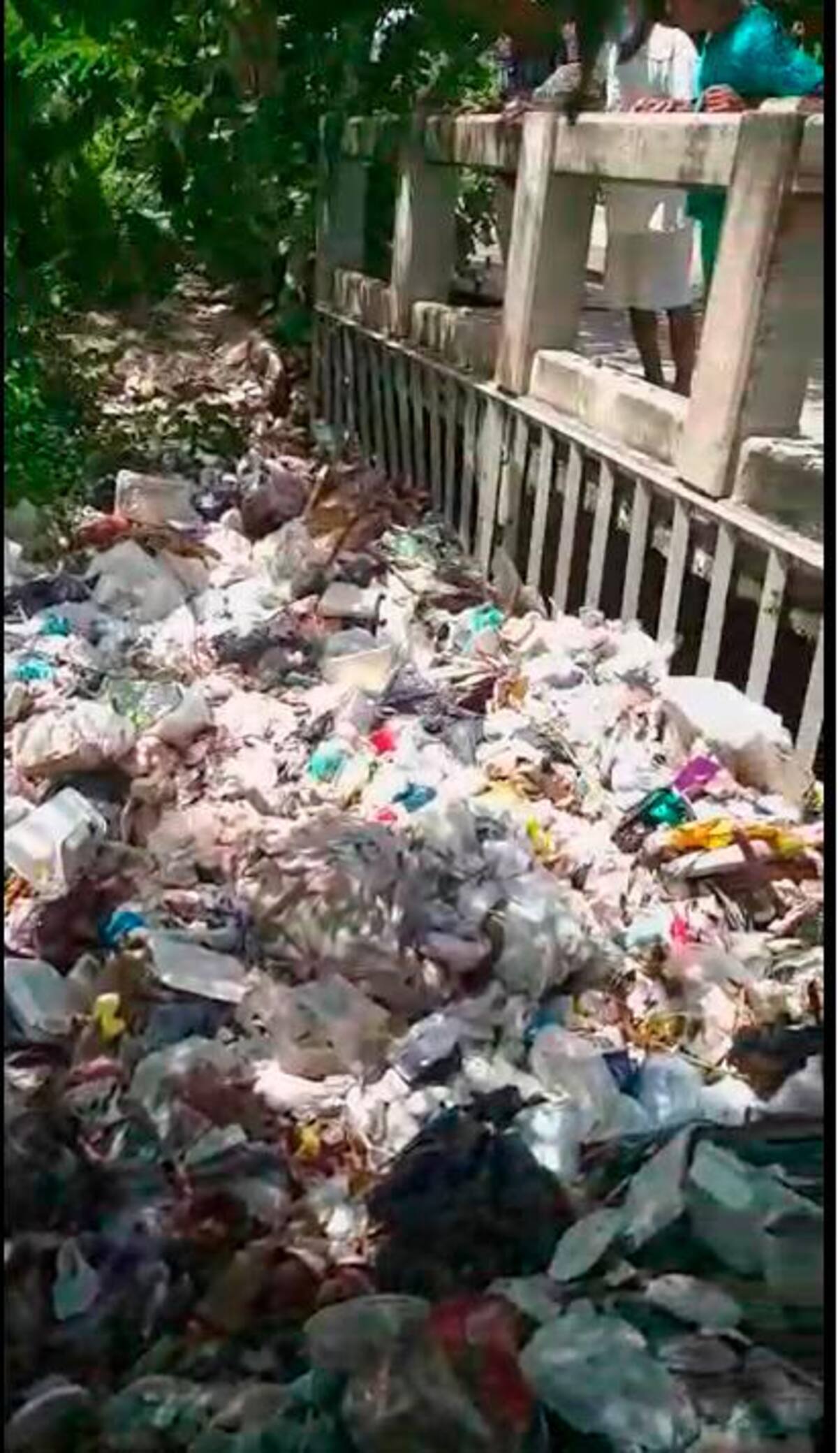 Contaminación y obstrucción por basuras del canal pluvial de la zona, a la altura del box culvert de la carrera 14, en Torices.