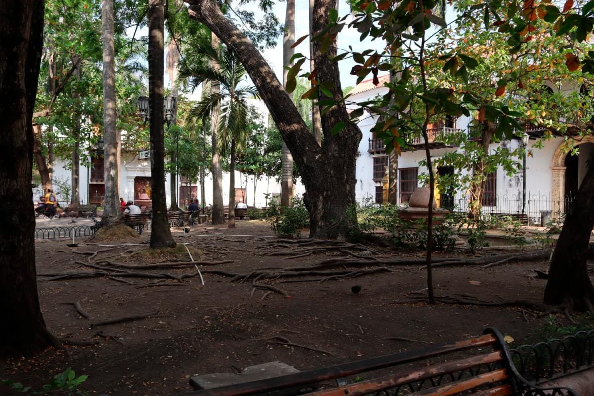 La recuperación de las zonas verdes y la estructura hidráulica también está contemplada. //Foto: Cortesía