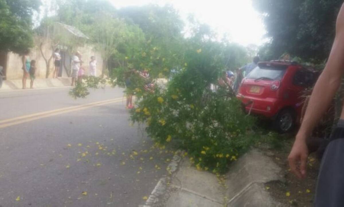 El fatal accidente ocurrió en la vía que del corregimiento de Laguna Flor conduce al municipio de San Antonio de Palmito, cuando el automotor se salió de la vía luego de una curva. cortesia