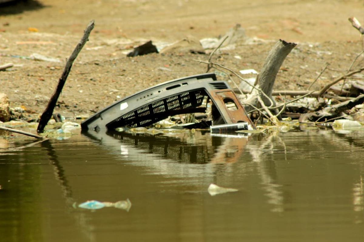 Cartagena de salva de una contaminación más atroz gracias a sus cuerpos marinos como son los manglares. Foto: Viviana Cueto Ortega.