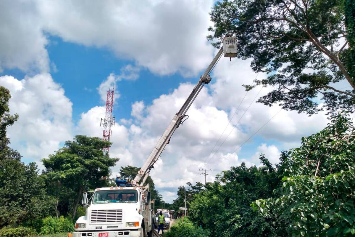 Este domingo Air-e hará trabajos de podas en el Atlántico