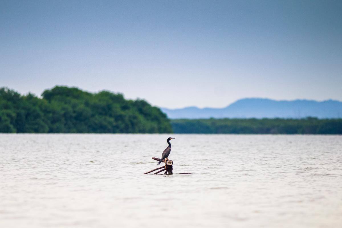 Sigue revuelo en Islas del Rosario: demandan otros 32 contratos de arriendo