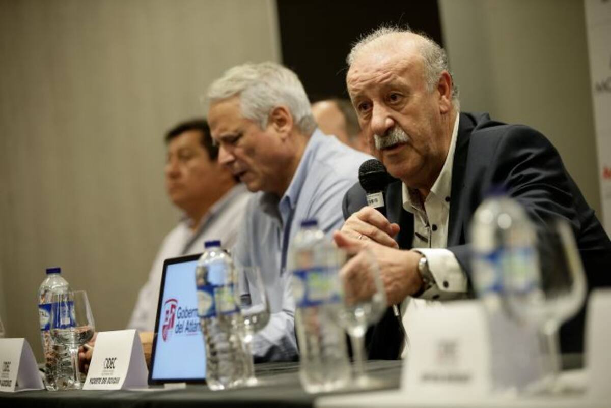 Vicente Del Bosque. COLPRENSA