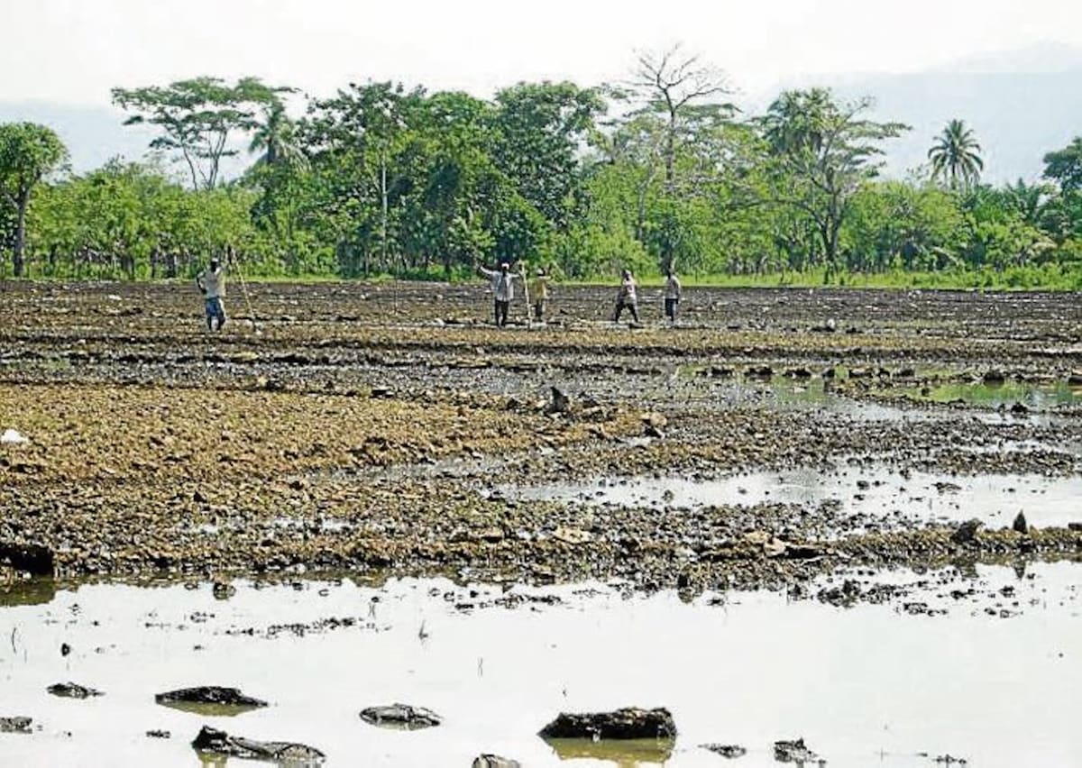 54% del área departamental tiene un uso inadecuado, según un estudio del Instituto Geográfico Agustín Codazzi (IGAC). Bolívar es propenso a sufrir los rigores del cambio climático. HERMES FIGUEROA A. - EL UNIVERSAL