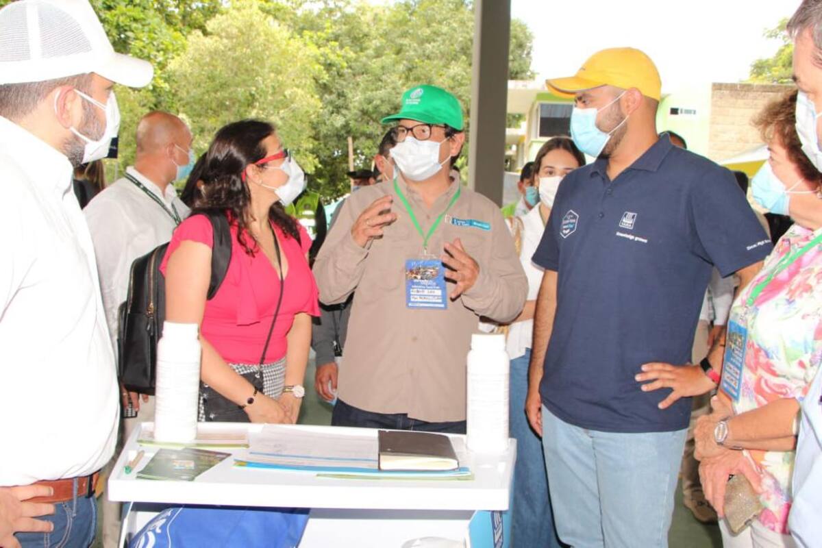 En Sucre, lanzan estrategia de fortalecimiento a cadena productiva de la yuca