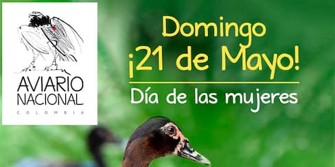 Vive una experiencia inolvidable en el Aviario Nacional este 21 de mayo