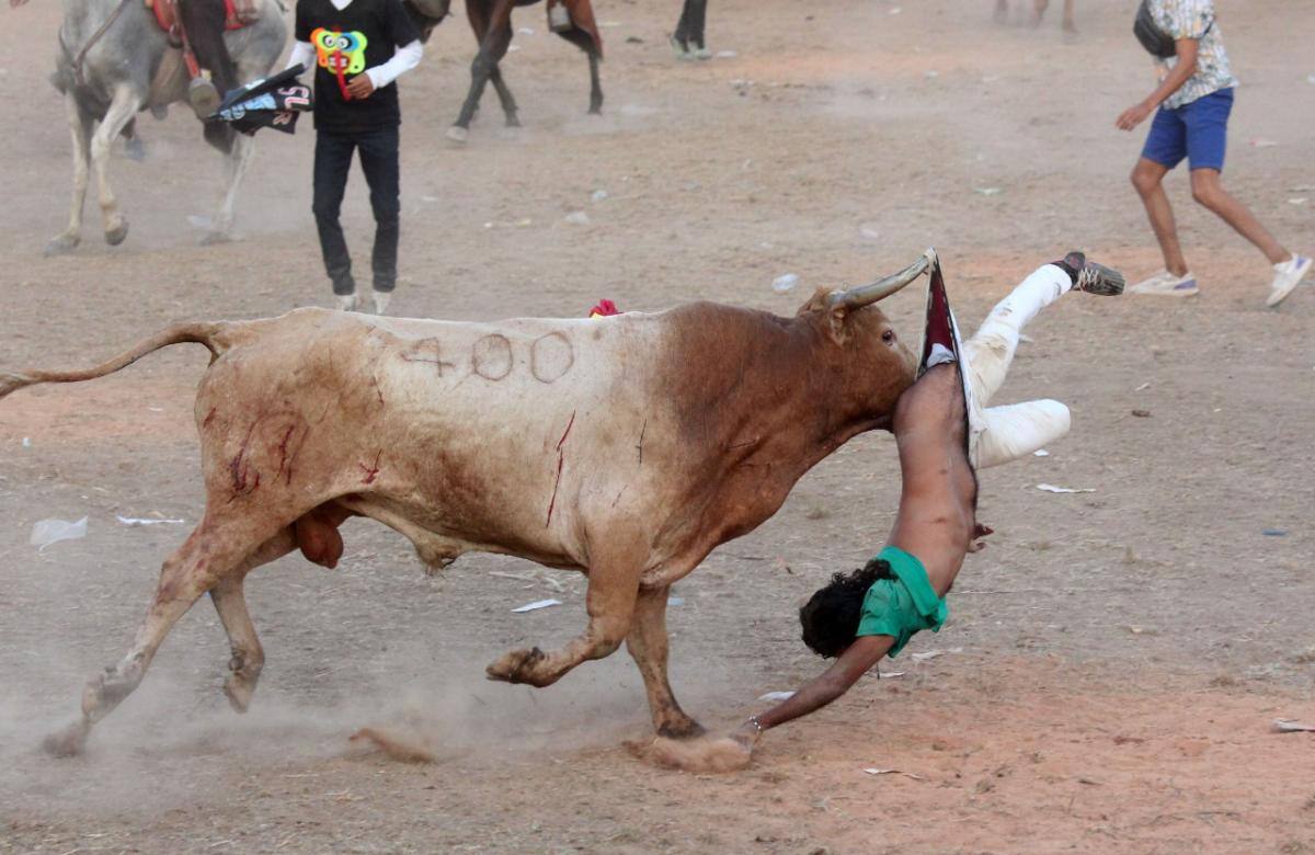 Así se vivió uno de los momentos destacados del cierre de las corralejas de Palmito.// Manuel Santiago Pérez.