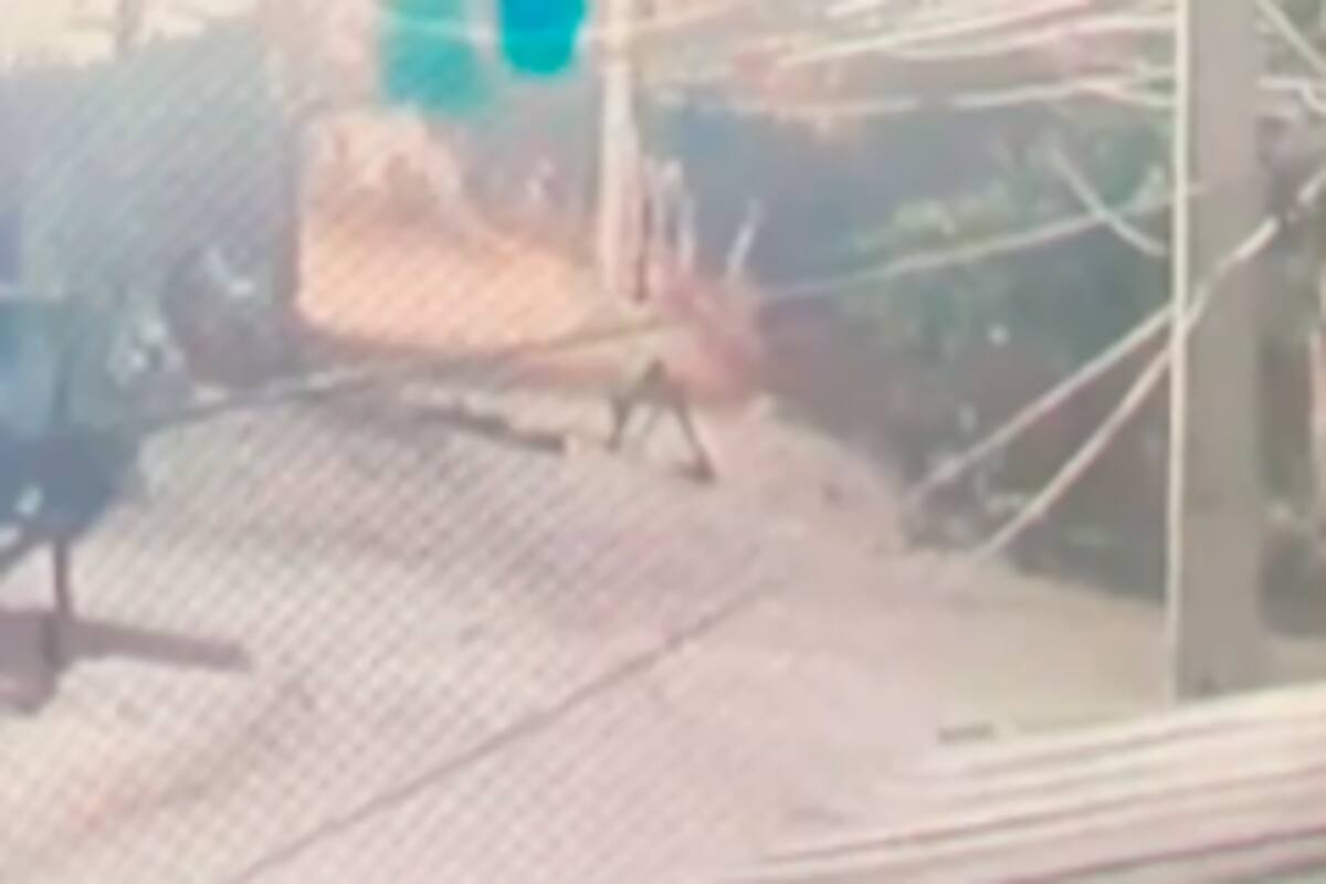 Video: así mataron a palazos a albañil, de 49 años, en Pasacaballos