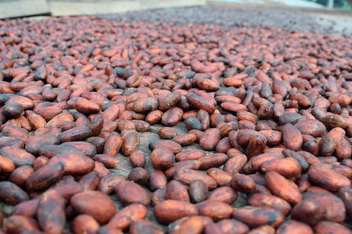 Aumentaron los precios de productos agropecuarios