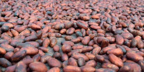 Aumentaron los precios de productos agropecuarios
