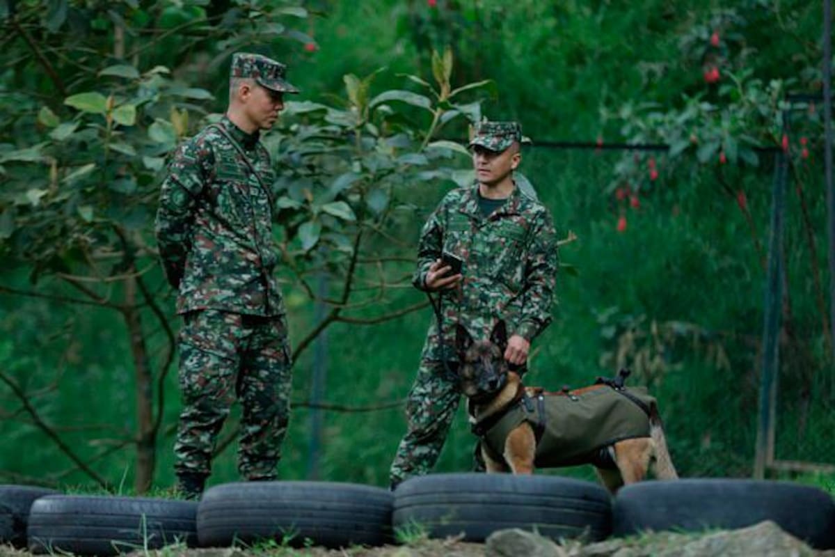 Más de seis mil operaciones: el balance del 2023 del Ejército Nacional
