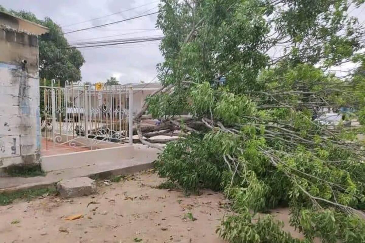 Fuerte vendaval afectó servicio de energía a 20 poblaciones del Atlántico