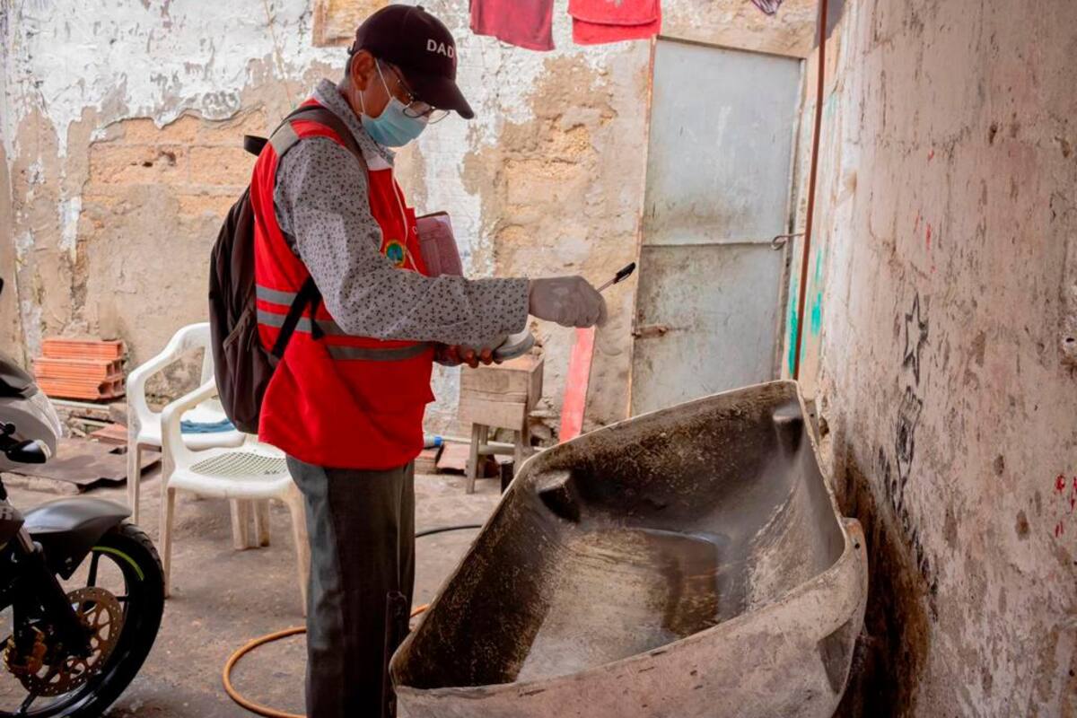 ¡Atención! Siguen los casos de dengue en Cartagena