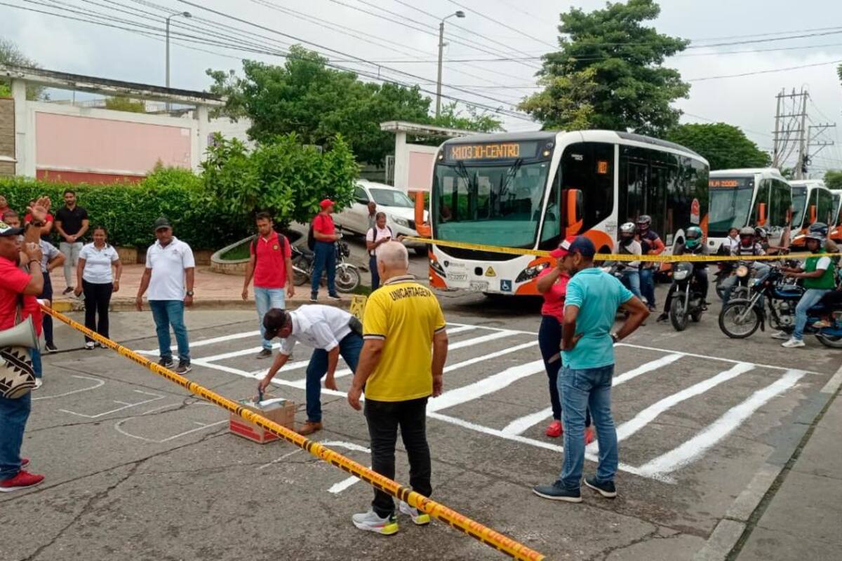 Se cansaron de pedir una cebra y decidieron pintarla ellos mismos