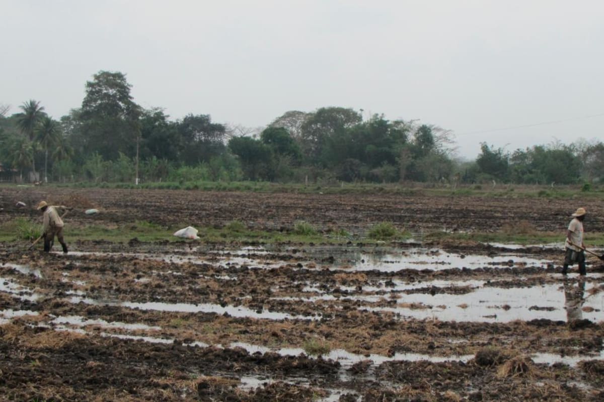 No habrá riego para todos en Distrito de Marialabaja