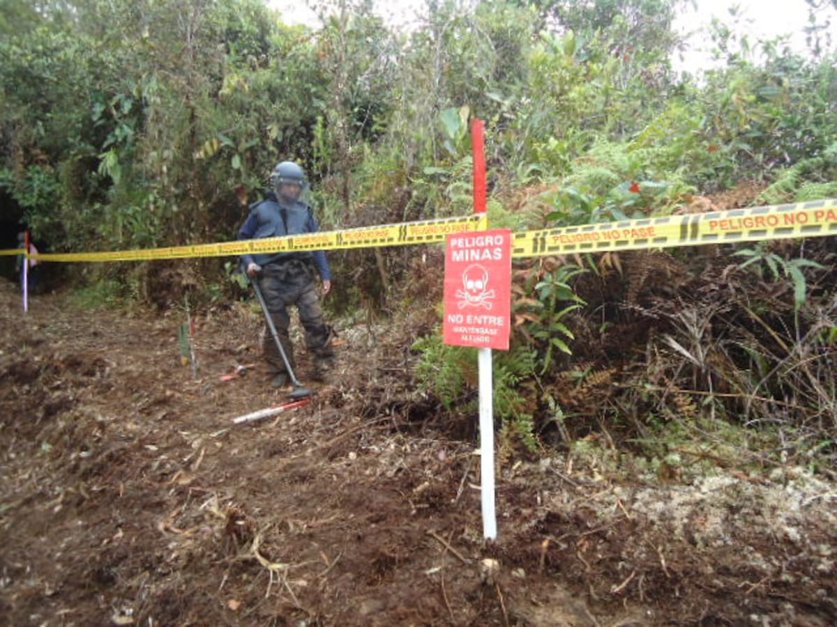 El acuerdo permitirá reducir los costos del desminado y aumentar la efectividad de las unidades militares. COLPRENSA