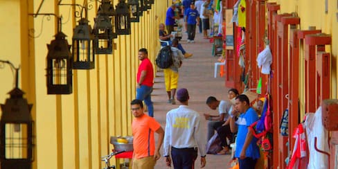 “Cartagena puede administrar su patrimonio”, dicen gestores