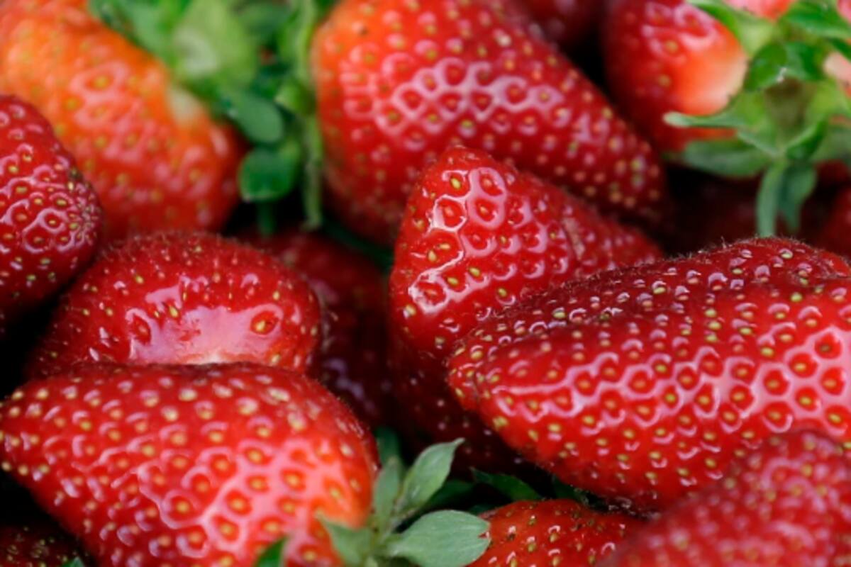 EEUU y Canadá vinculan casos de hepatitis con fresas
