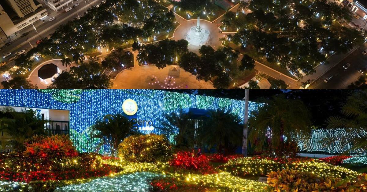 Parque Centenario y Manglar: Horarios y actividades gratis en Cartagena