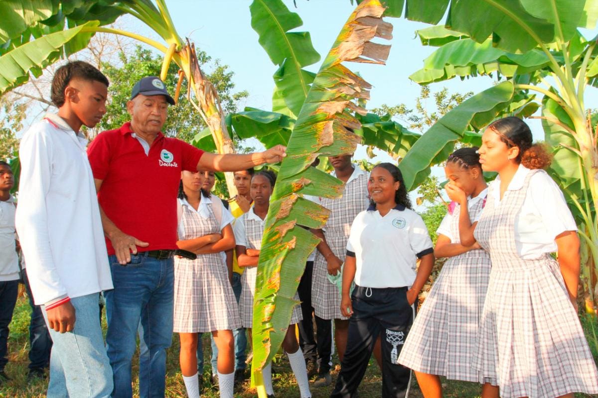 Estudiantes de Marialabaja se capacitan en ‘Buenas prácticas agrícolas’