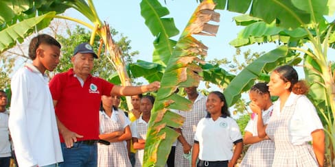 Estudiantes de Marialabaja se capacitan en ‘Buenas prácticas agrícolas’