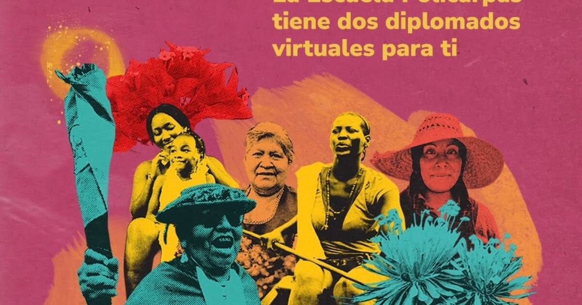 Free Diplomas for Women: How to Register and Requirements