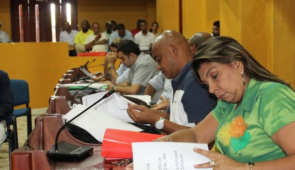 Duvinia Torres, concejal coordinadora del presupuesto 2018. Cortesía