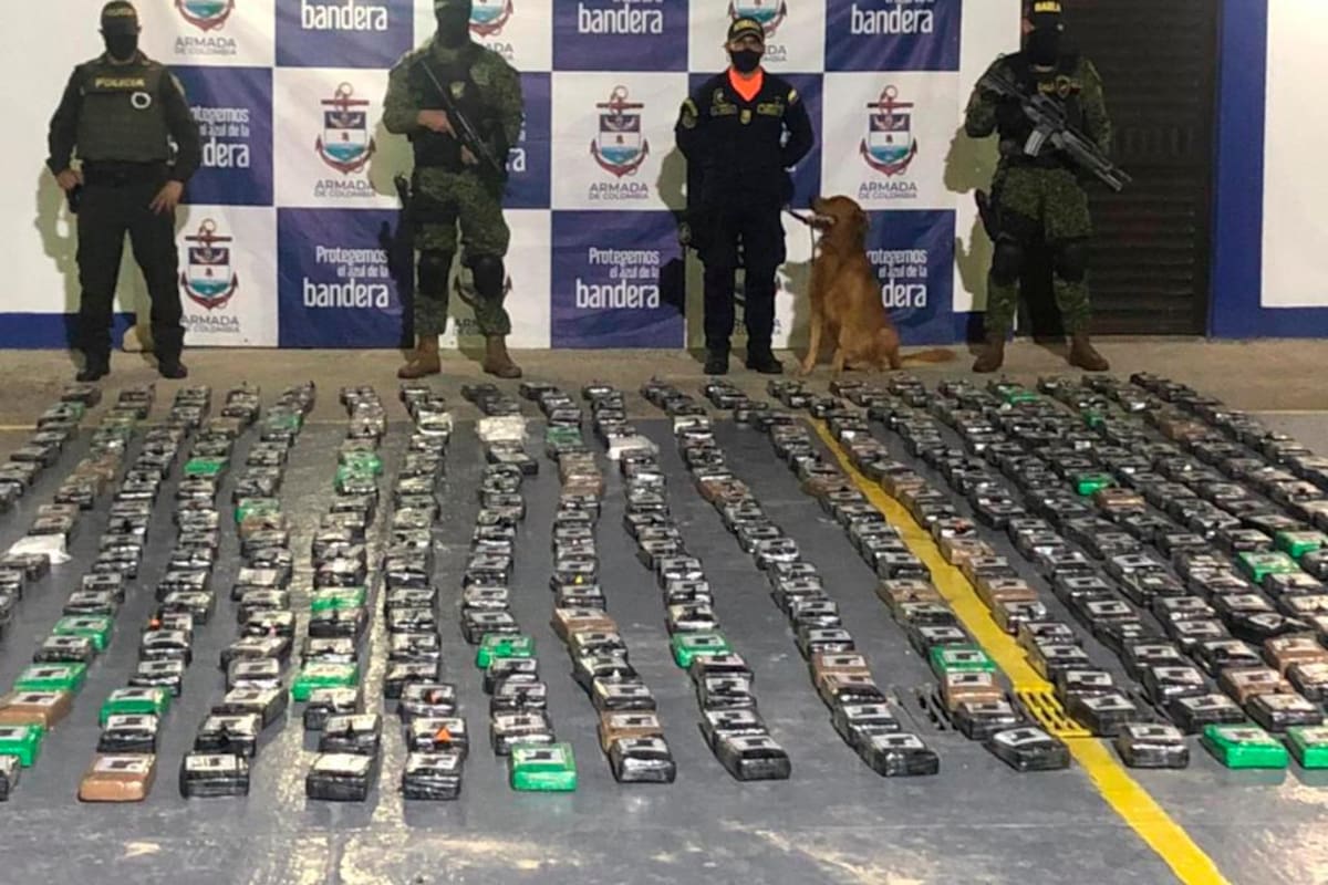Cae con 425 kilos de cocaína que pretendía ingresar a un puerto de Cartagena