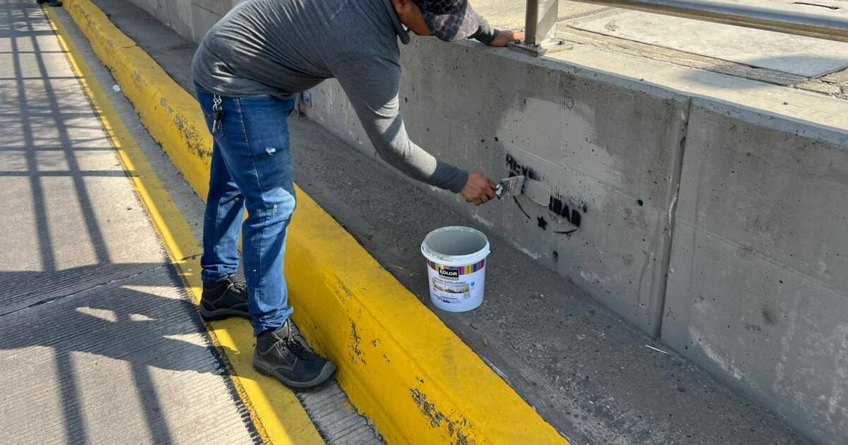 Transcaribe denuncia vandalismo en estaciones por propaganda política