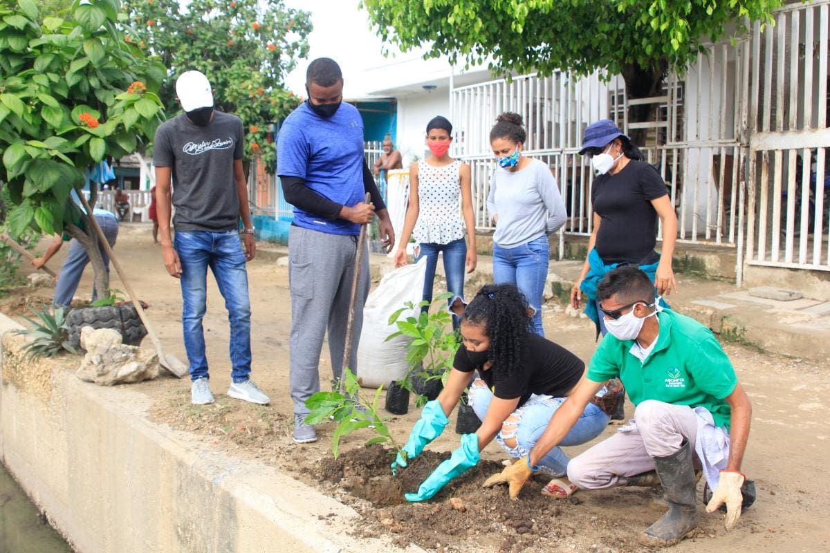 Plantan árboles para recuperar zona en La Candelaria
