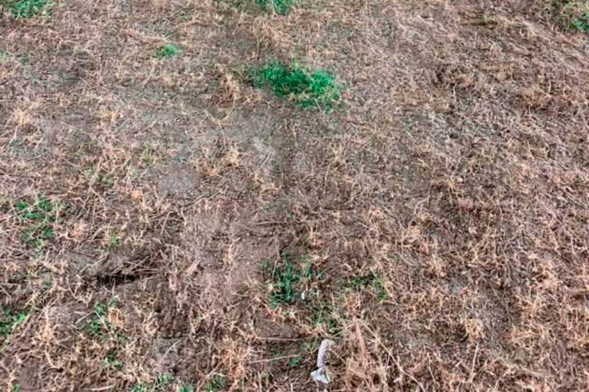 El estadio de fútbol Jaime Morón León hoy es vergüenza nacional y mundial