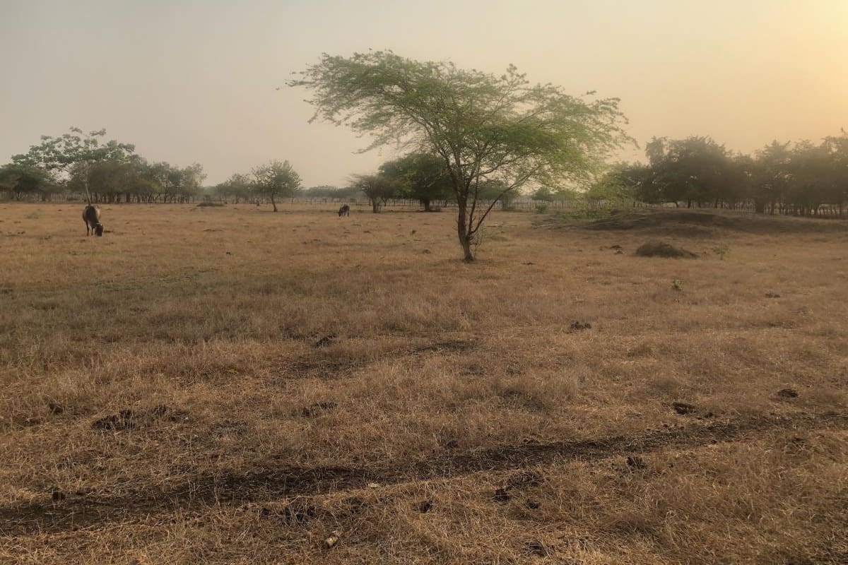 Campesinos reclaman obras en el canal de riego del sur del Atlántico
