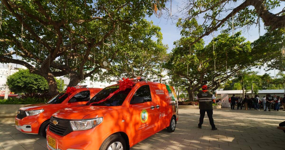 Cartagena estrena ambulancias veterinarias para rescate animal