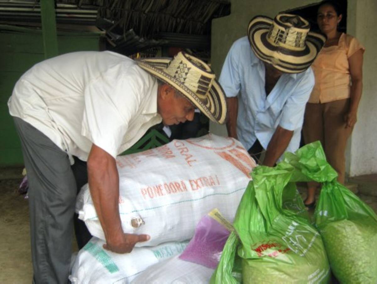 El Universal El Universal