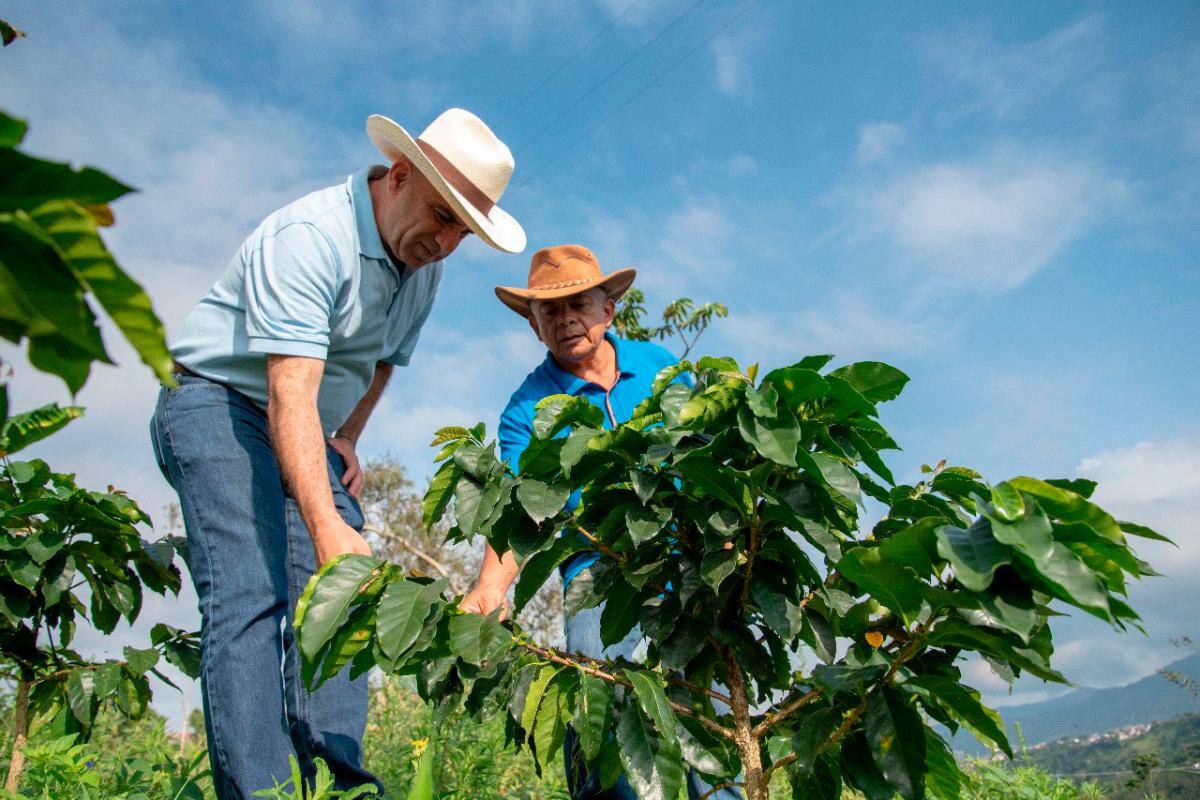 Pequeños productores agropecuarios, principales beneficiarios de créditos